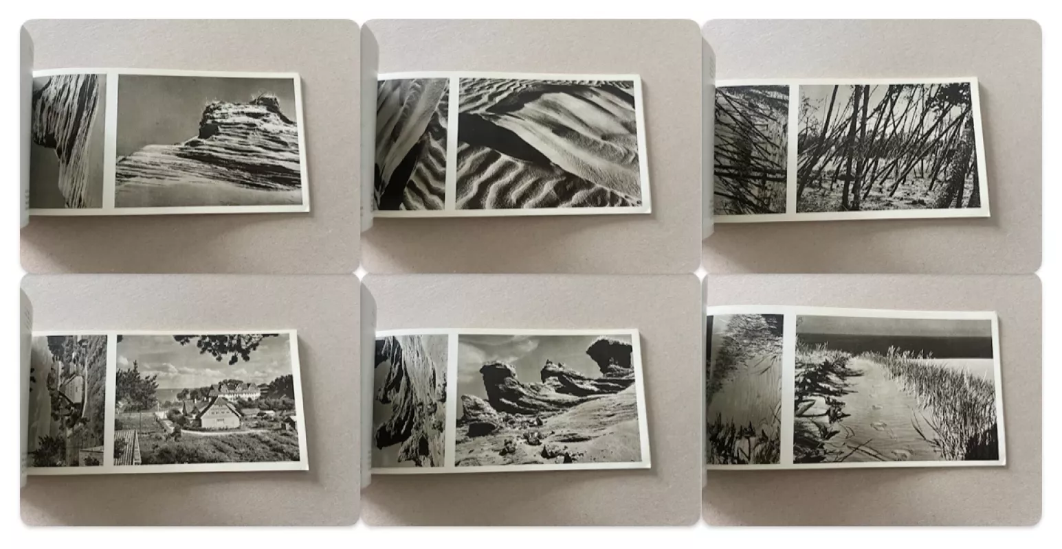 Kuršių nerija - Autorių Kolektyvas, knyga 5