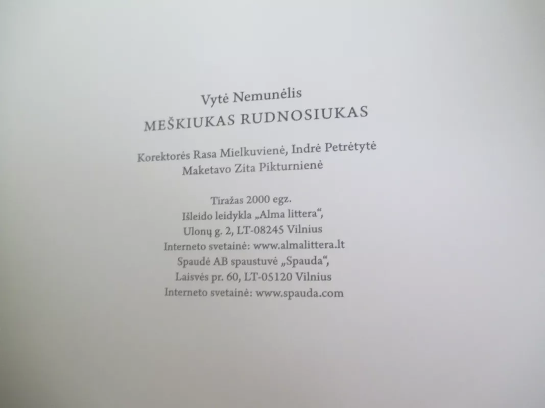 Meškiukas Rudnosiukas - Vytė Nemunėlis, knyga 4