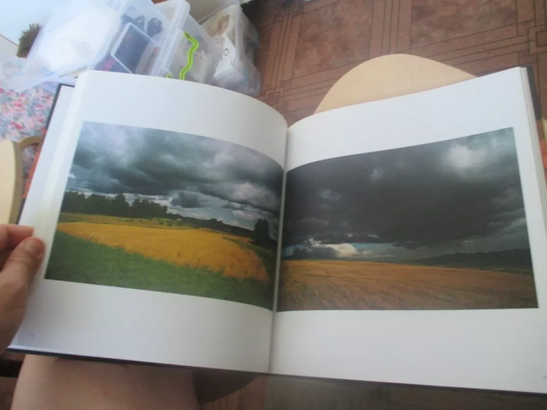 Spalvoti laukai - Romualdas Rakauskas, knyga 6