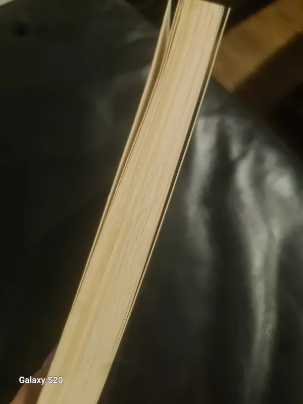 Sapnų takais - Rita Užtupaitė-Banienė, knyga 4