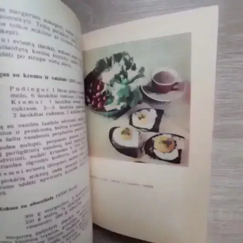 Pigu, skanu ir greitai - Birutė Purvinienė, knyga 4