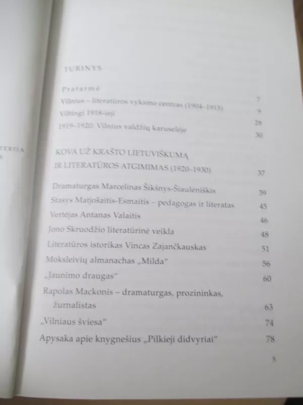 Vilniaus Lietuvių Literatūra - Alma Lapinskienė, knyga 5