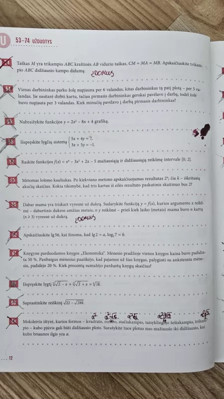 154 profesionalo patarimai prieš matematikos egzaminą - Bronislovas Burgis, knyga 2