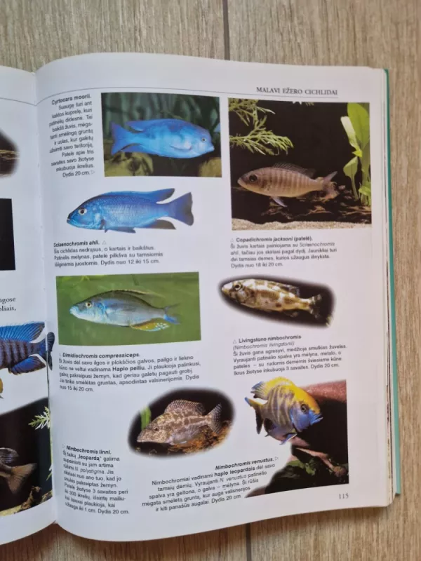 Didysis akvariumo vadovas - Tjeris Metras-Alenas, knyga 5