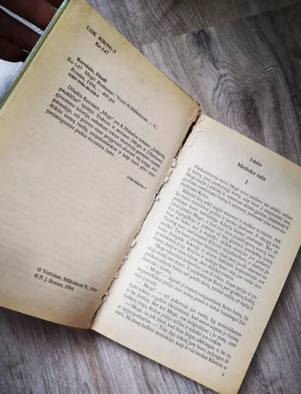 Megė - Džudi Kerolain, knyga 6