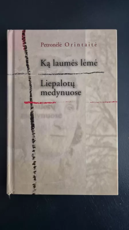 Ką laumės lėmė. Liepalotų medynuose - Petronėlė Orintaitė, knyga 2