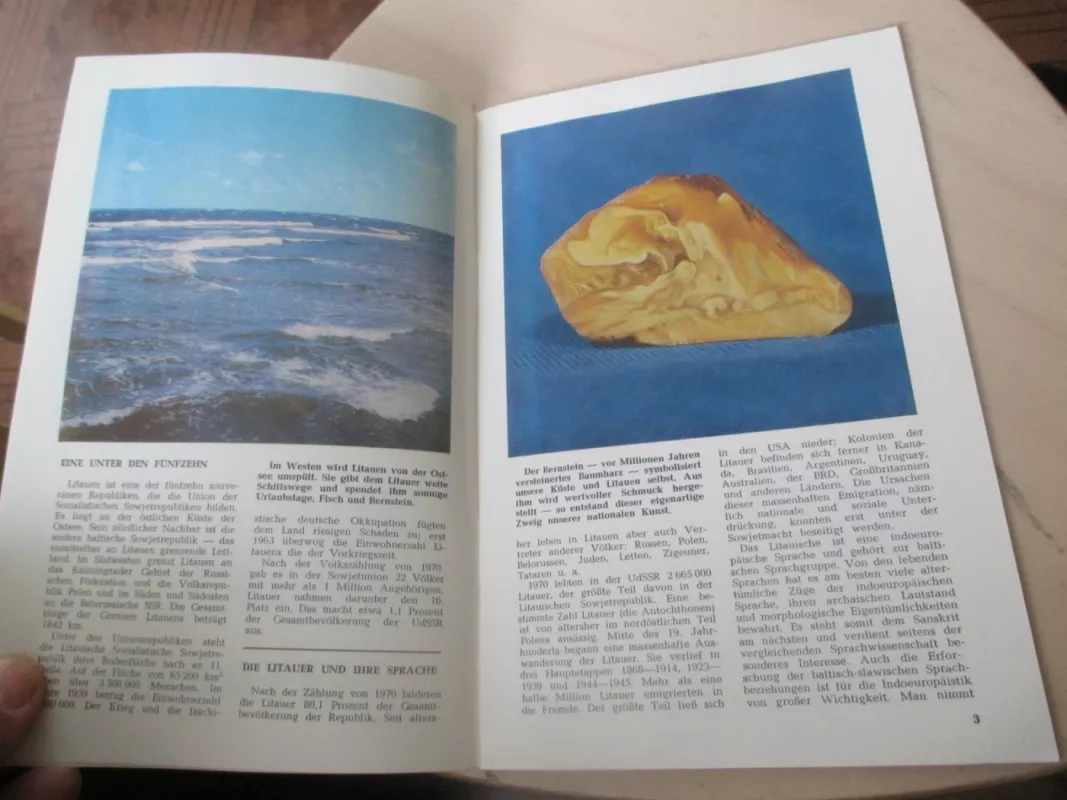 Litauen - Vytautas Kazakevičius, knyga 5