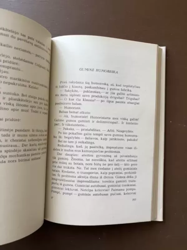 Karuselėje - Vytautė Žilinskaitė, knyga 6