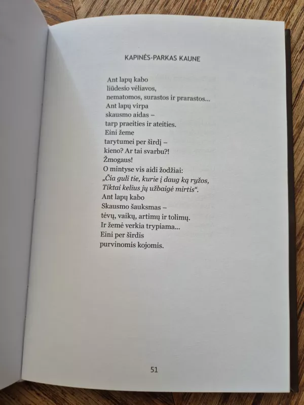 Saulėlydžio atšvaitai - Stasys Skrodenis, knyga 6