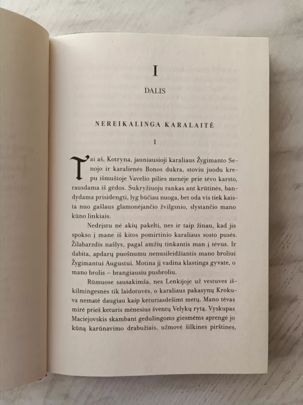 Karo nuotaka - Ilona Skujaitė, knyga 5