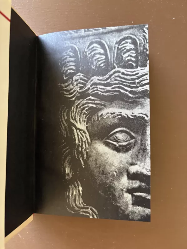 Dialogai - Platonas, Platonas, knyga 4