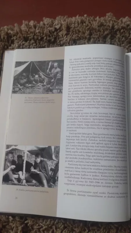 Partizanai - Rūta Gabrielė Vėliūtė, knyga 3