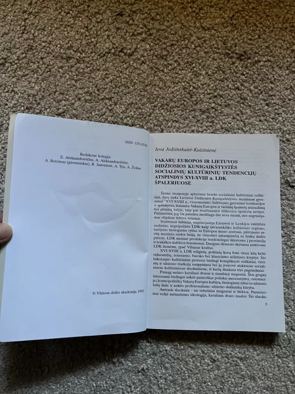 Lietuvos dailė europiniame kontekste - A. Butrimas, knyga 5