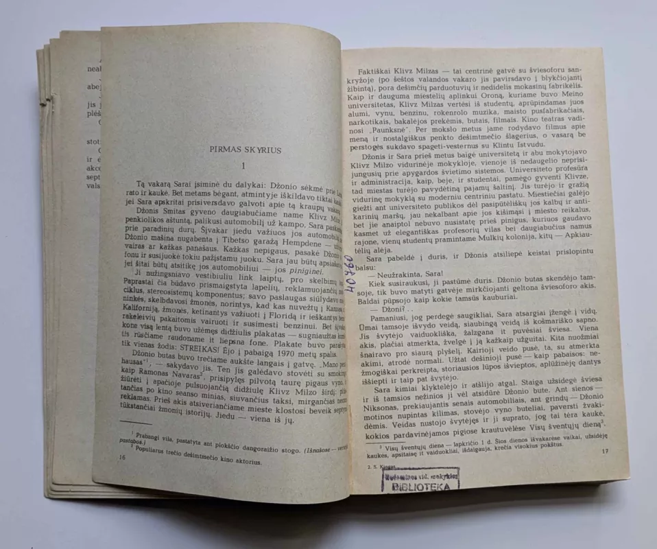 Tylos zona - Stivenas Kingas, knyga 4