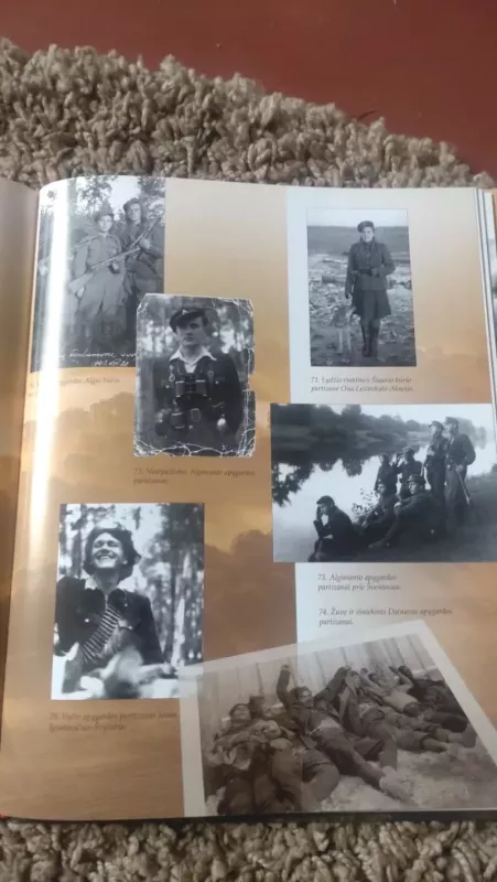 Partizanai - Rūta Gabrielė Vėliūtė, knyga 4