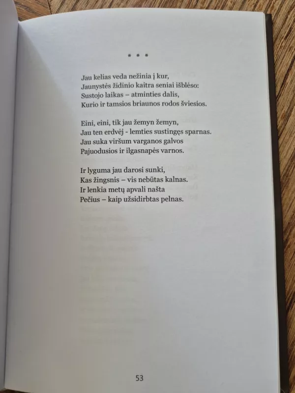 Saulėlydžio atšvaitai - Stasys Skrodenis, knyga 5