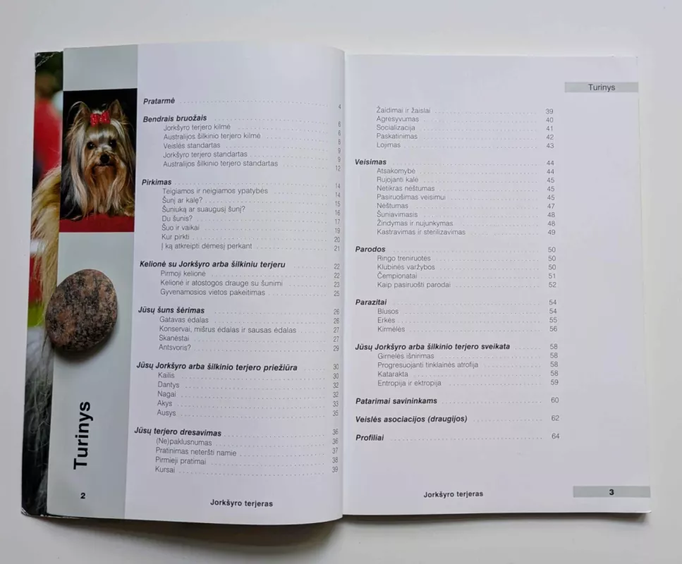 Jorkšyro terjeras ir Australijos šilkinis terjeras - Autorių Kolektyvas, knyga 4