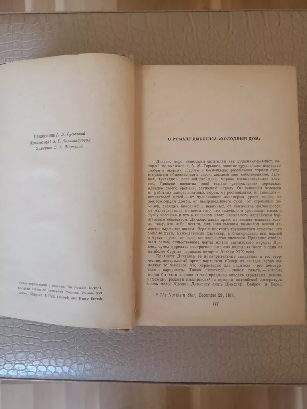 Bleak House - Charles Dickens, knyga 6