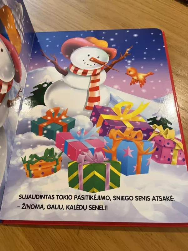 Nepaprastos kalėdos - Autorių Kolektyvas, knyga 3