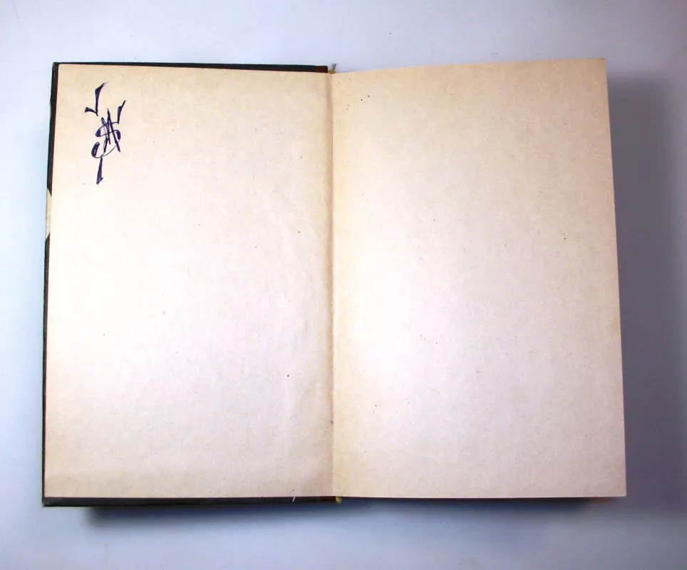 Raudonosios mirties kaukė - Edgaras Alanas Po, knyga 4