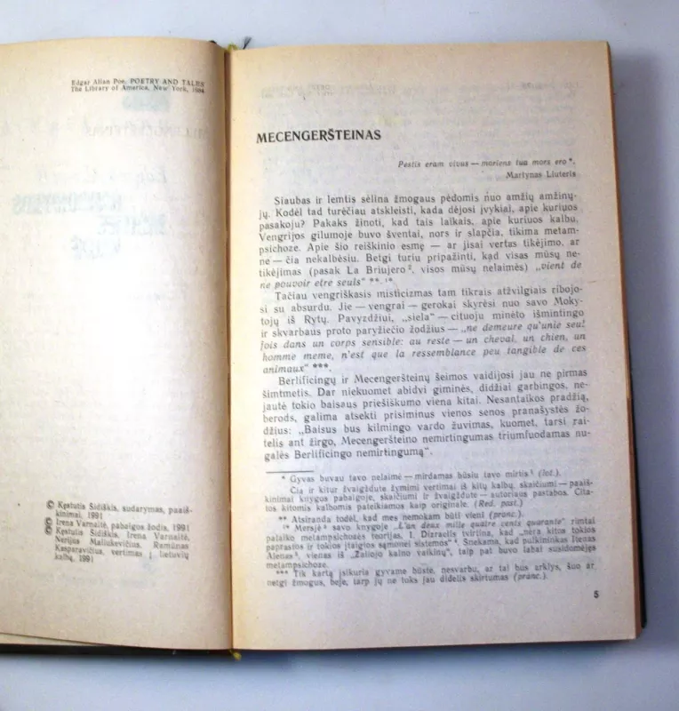 Raudonosios mirties kaukė - Edgaras Alanas Po, knyga 6