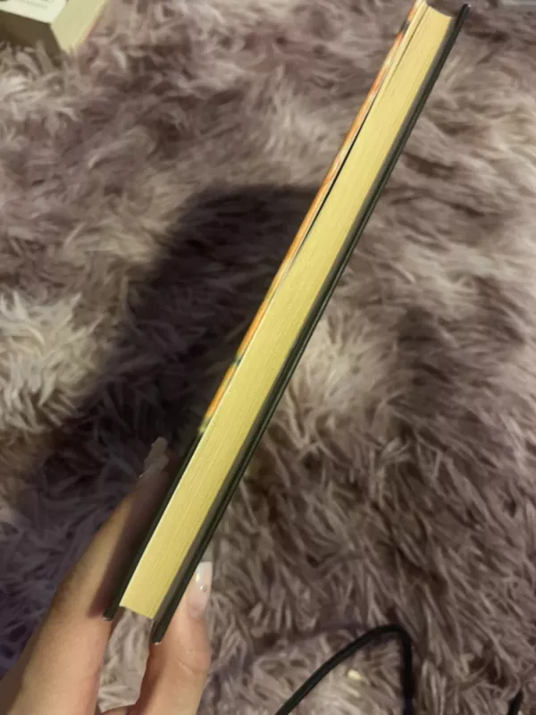 Aš mylėjau - Anna Gavalda, knyga 4