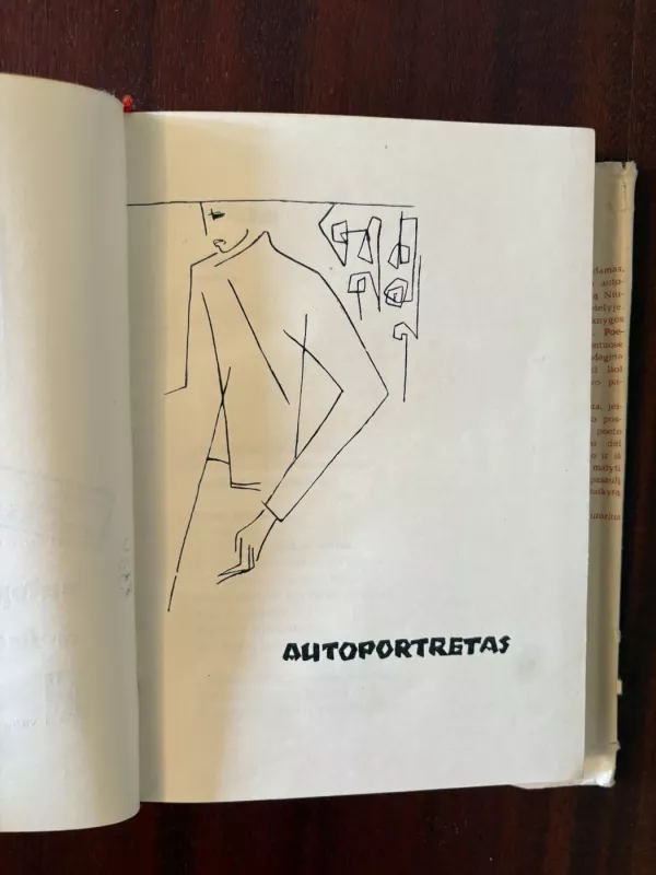 Autoportretas. Aviaeskizai - Eduardas Mieželaitis, knyga 4