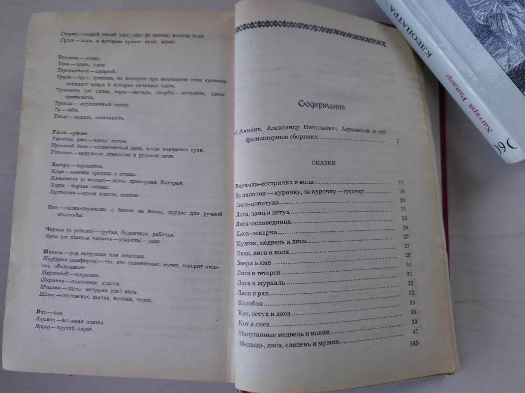 Narodnyje russkije skazki - Afanasjev, A.N., knyga 5