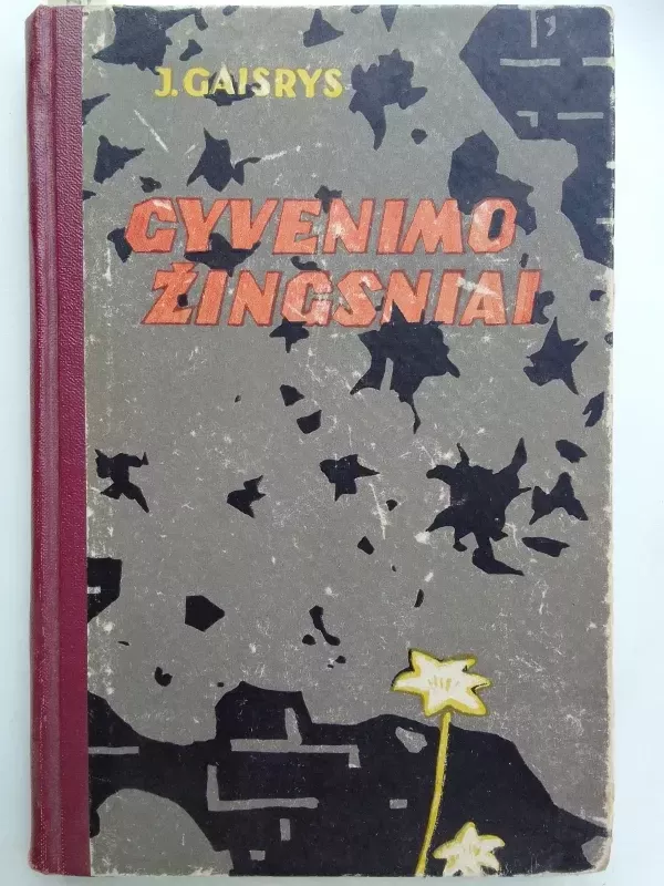 Gyvenimo žingsniai - J. Gaisrys, knyga 2