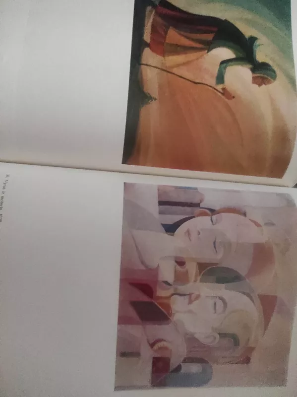 Kazys Šimonis - Danutė Jedzinskienė, knyga 5