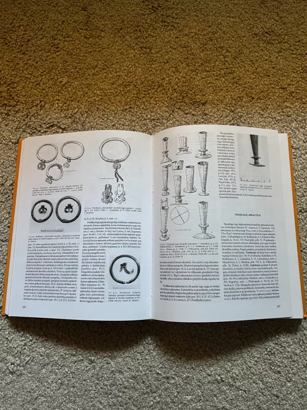 Lietuvos archeologija (15 tomas) - Gintautas Zabiela, knyga 5