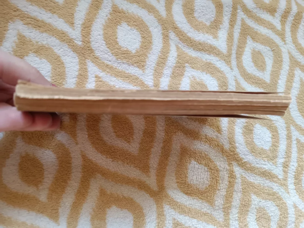 Nuodėmių gatvė - J. K. Beleckas, knyga 4