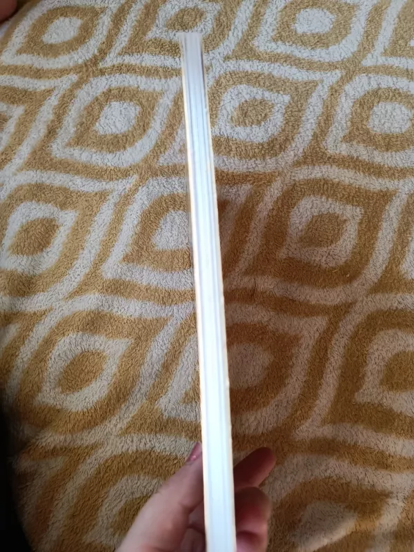 Butrimonys - Danutė Anušauskienė, knyga 4