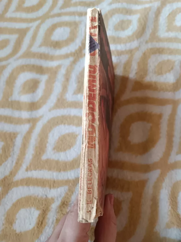 Nuodėmių gatvė - J. K. Beleckas, knyga 3