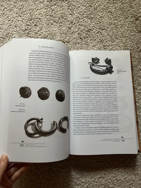 Lietuvos istorija - Edvardas Gudavičius, knyga 6