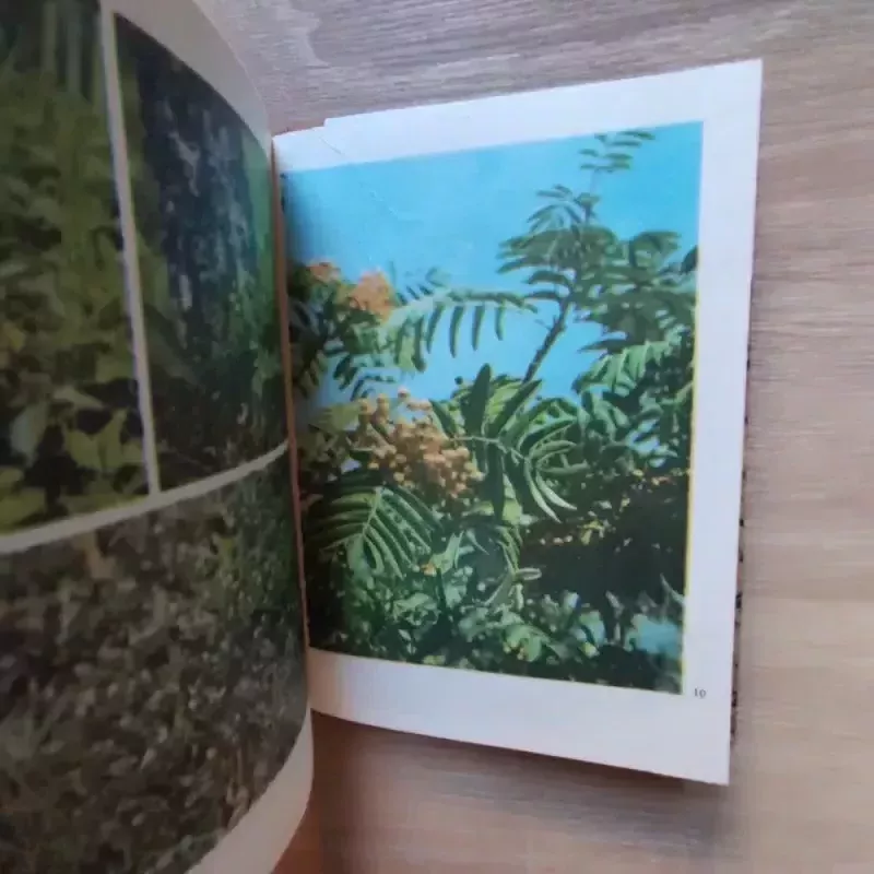 Jaunajam vaistažolių rinkėjui - J. Balvočiūtė, S.  Gudanavičius, knyga 5