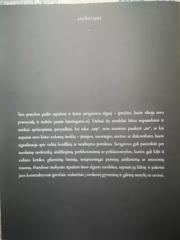 13 ŽINGSNIŲ KAIP NUSTOTI SAVE GRIAUTI. Pratybos, skirtos atpažinti ir giliau suprasti savigriovos ciklus - Dominyka Šeibokaitė, Rūta Raciūtė, knyga 5