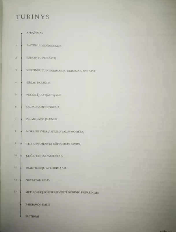 13 ŽINGSNIŲ KAIP NUSTOTI SAVE GRIAUTI. Pratybos, skirtos atpažinti ir giliau suprasti savigriovos ciklus - Dominyka Šeibokaitė, Rūta Raciūtė, knyga 3
