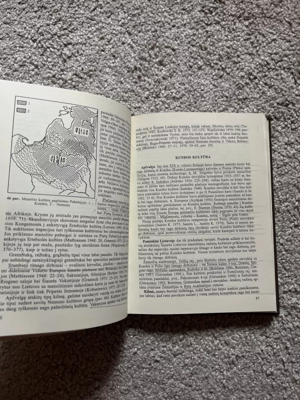 Akmens amžius Lietuvoje - R. Rimantienė, knyga 5
