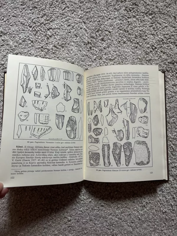 Akmens amžius Lietuvoje - R. Rimantienė, knyga 6