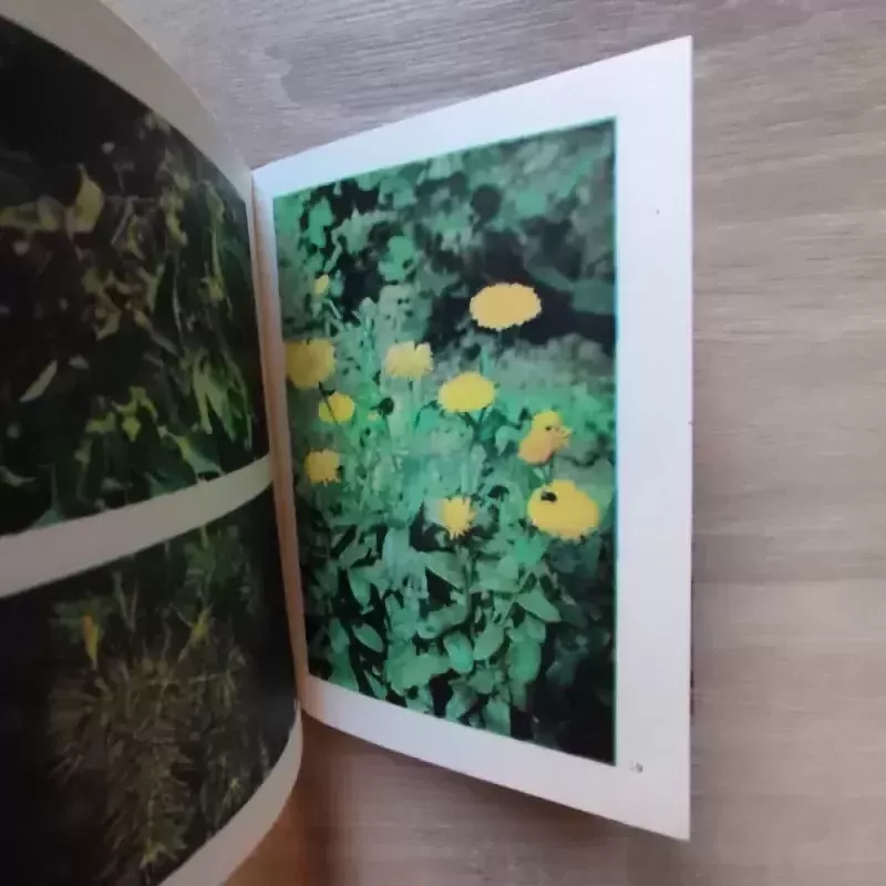 Jaunajam vaistažolių rinkėjui - J. Balvočiūtė, S.  Gudanavičius, knyga 4