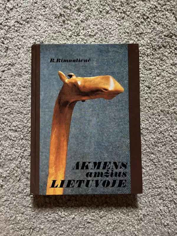 Akmens amžius Lietuvoje - R. Rimantienė, knyga 2