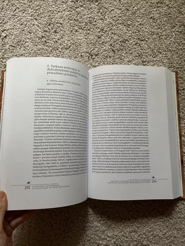 Lietuvos istorija - Edvardas Gudavičius, knyga 5