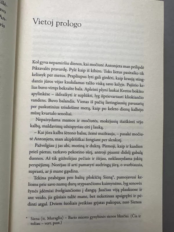 Padorios šeimos istorija - Rosa Ventrella, knyga 6