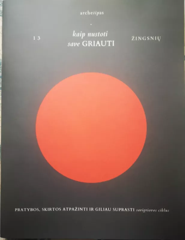 13 ŽINGSNIŲ KAIP NUSTOTI SAVE GRIAUTI. Pratybos, skirtos atpažinti ir giliau suprasti savigriovos ciklus - Dominyka Šeibokaitė, Rūta Raciūtė, knyga 2