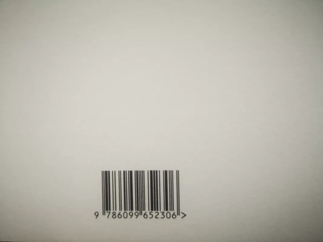 13 ŽINGSNIŲ KAIP NUSTOTI SAVE GRIAUTI. Pratybos, skirtos atpažinti ir giliau suprasti savigriovos ciklus - Dominyka Šeibokaitė, Rūta Raciūtė, knyga 4