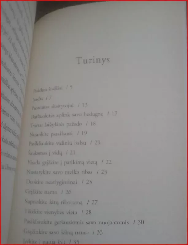 Vidinis meilės balsas: kelionė per kančią į laisvę - M. Henri J., knyga 5