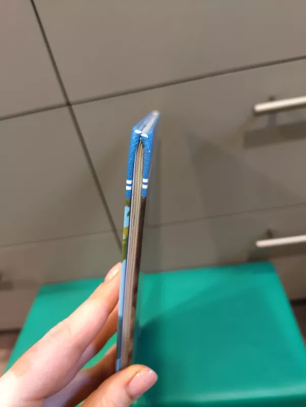 Monstrų universitetas - Liza Marsoli, knyga 6