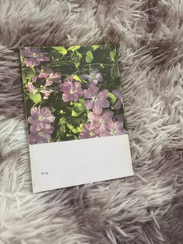 Raganės - Z. Kvarinskas, knyga 3