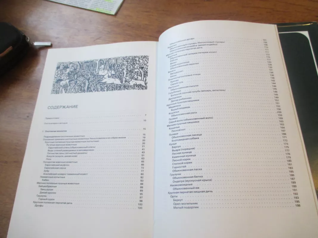 Medžioklė iliustracijose (rusų k.) - A. B. Gerceg, knyga 4